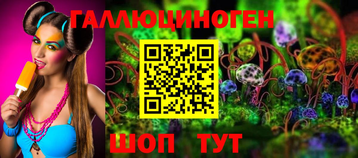 Электрогорск  закладки  Вход с VPN  Галлюциногенные грибы прущие грибы  Галлюциногенные грибы мухоморы 